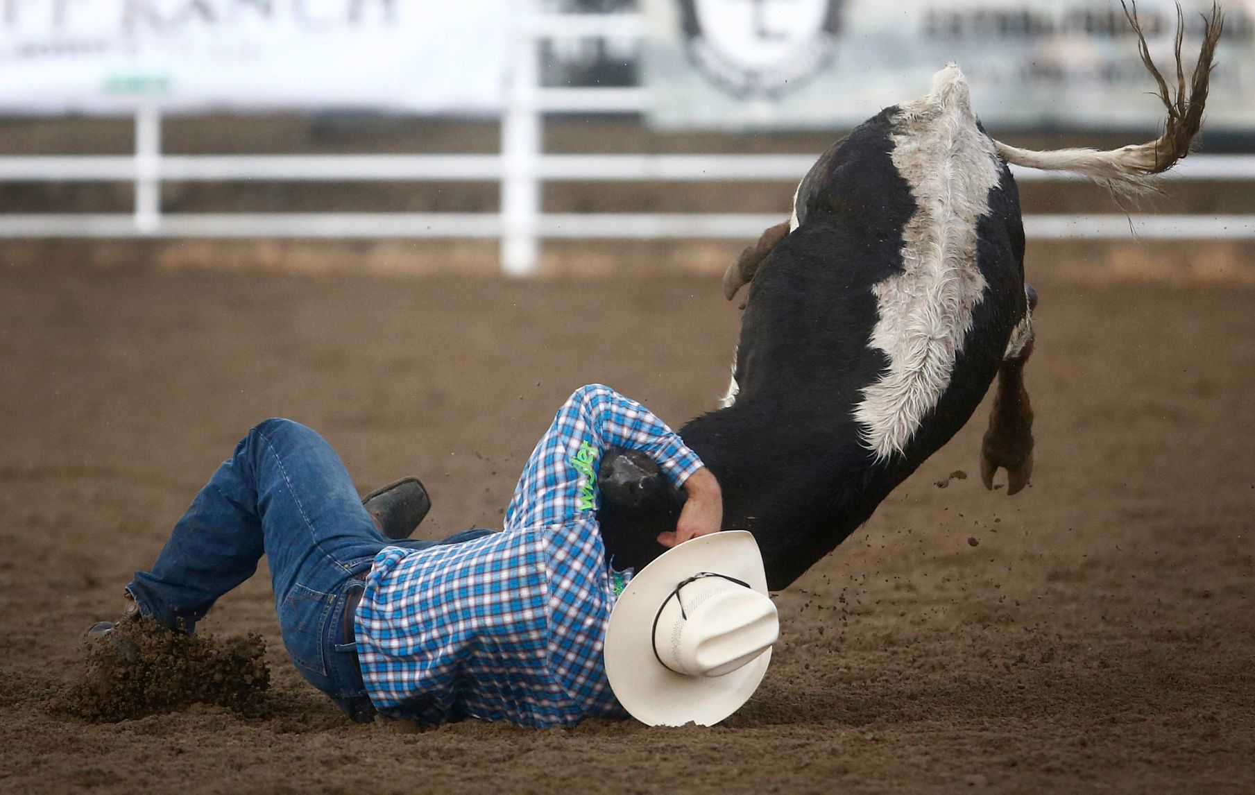 Home of Champions Rodeo
